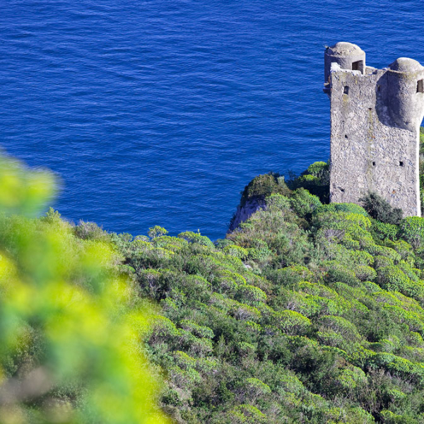 F18-2011-TORRE-COLOMBARA-FOTOSTUDIOLOVISOLO