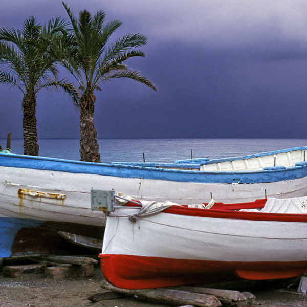 FINALE-MARINA-GOZZI-E-PALME