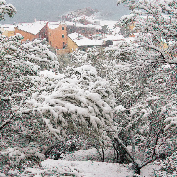 V31-2005-NEVE-ULIVI-E-BORGO-VECCHIO-FOTOSTUDIOLOVISOLO